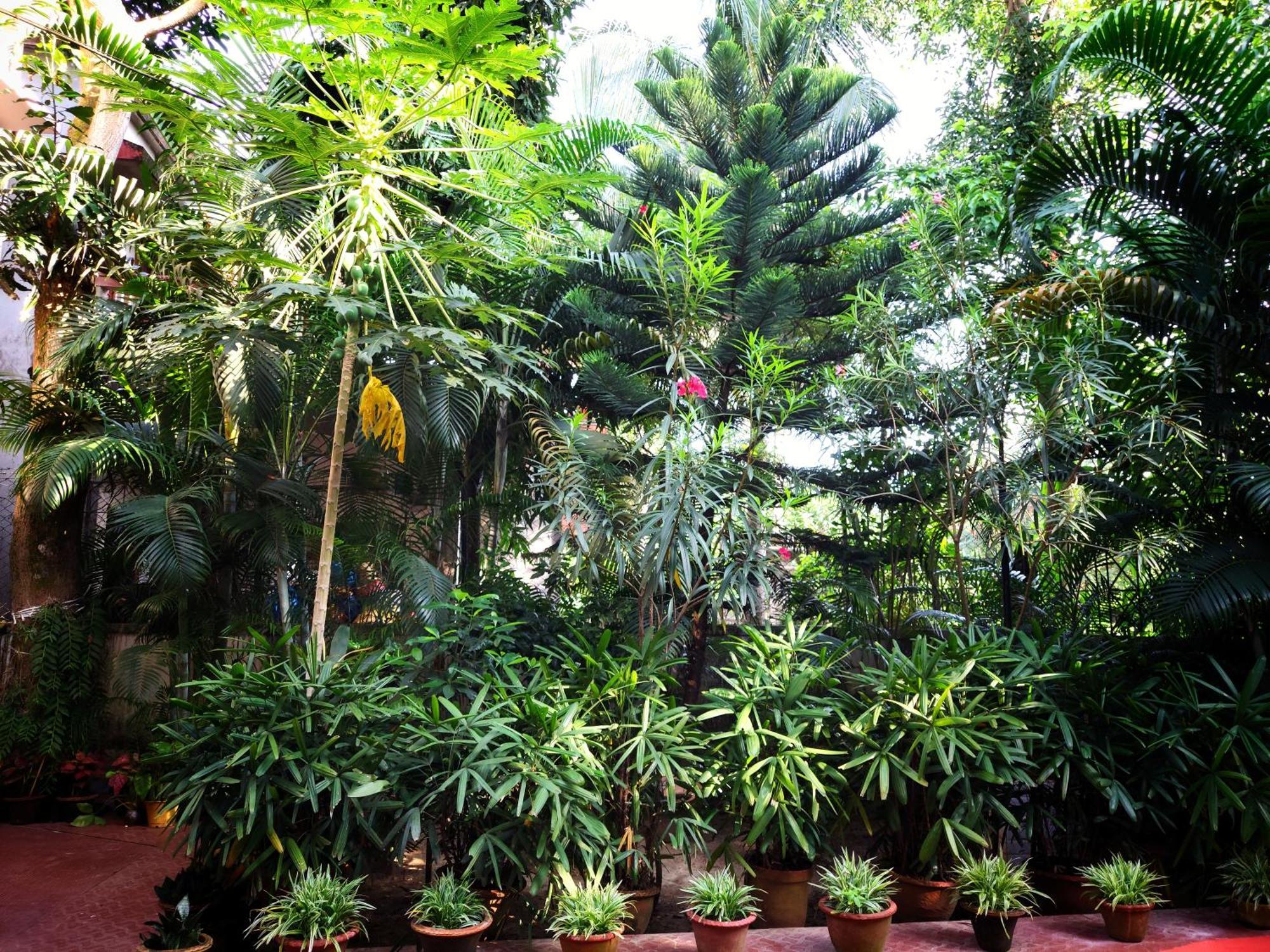 Chaiti Eco Homestay- Santiniketan ボルプル エクステリア 写真