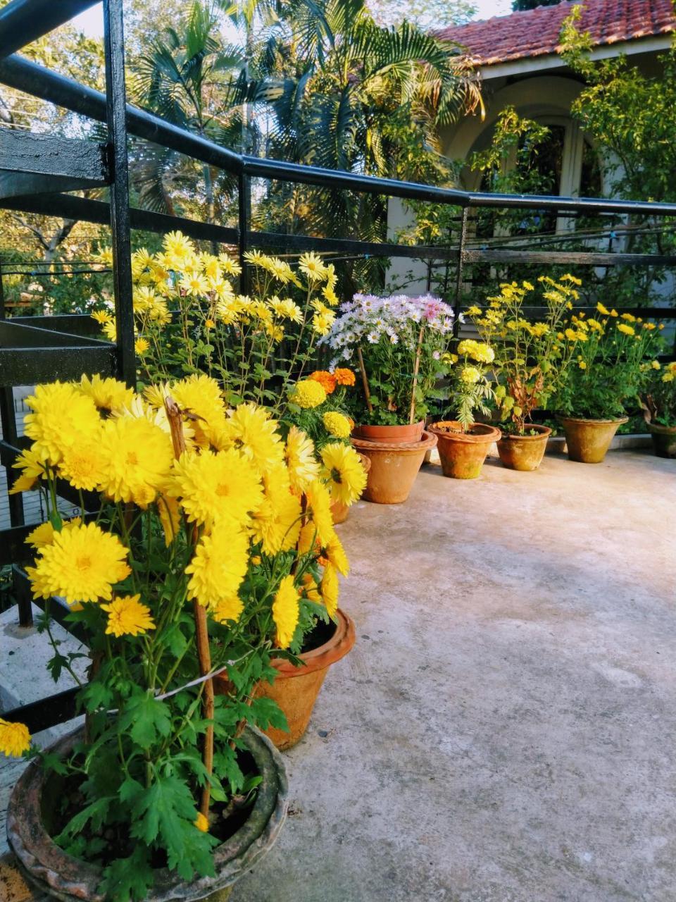 Chaiti Eco Homestay- Santiniketan ボルプル エクステリア 写真