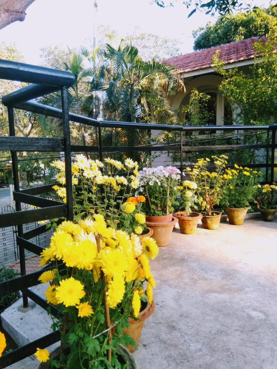 Chaiti Eco Homestay- Santiniketan ボルプル エクステリア 写真